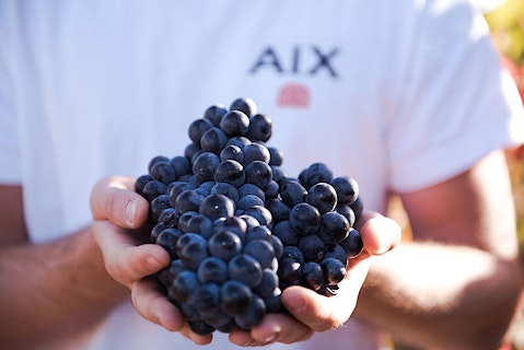 The Vineyard Cycle Maison Saint Aix Intro